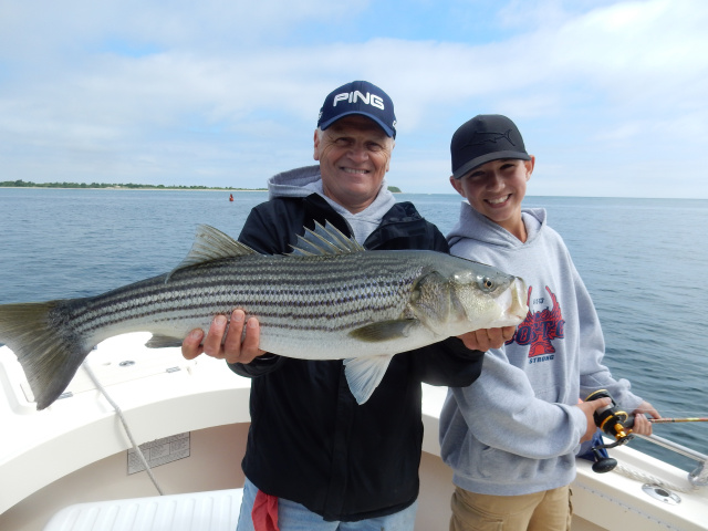 Roy's plum Island striper